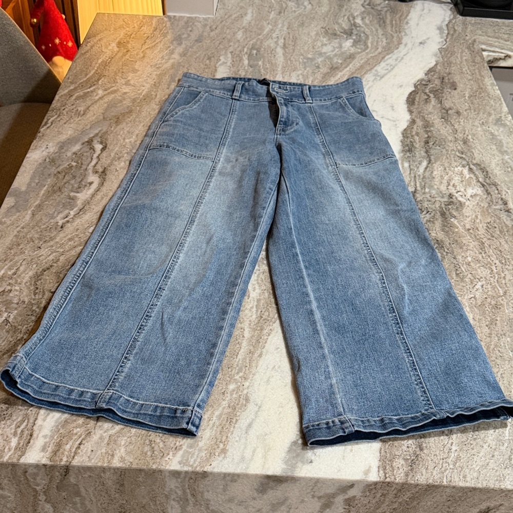 Hudson wide leg crop jeans